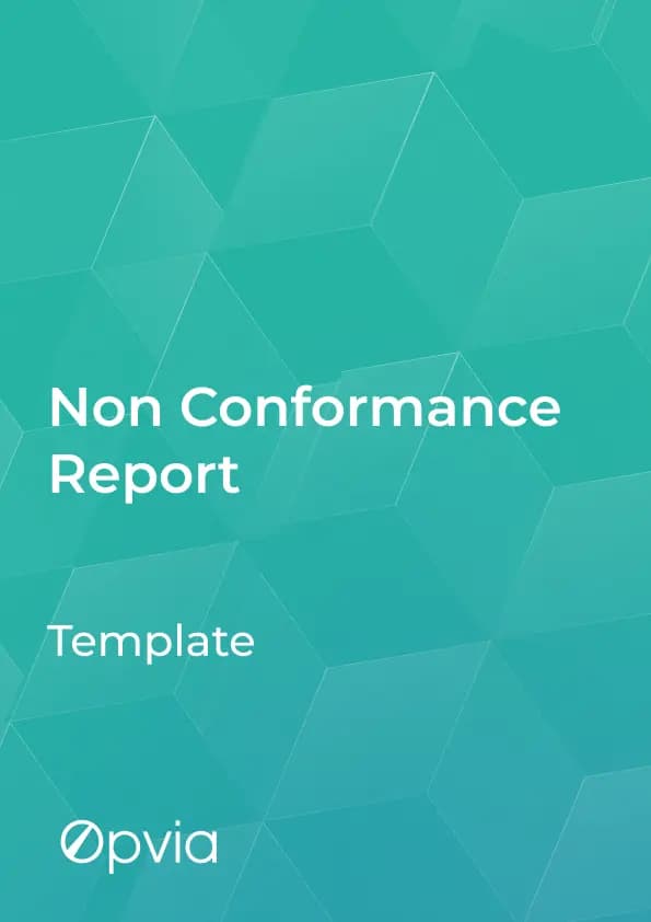 Non Conformance Report [Template]